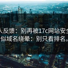 不少人反馈：别再被17c网站安全的相似域名绕晕：别只看排名。