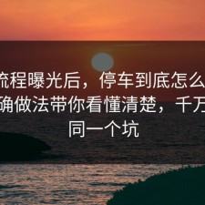 幕后流程曝光后，停车到底怎么回事？把正确做法带你看懂清楚，千万别踩同一个坑