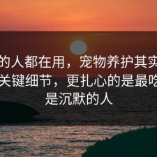 业内的人都在用，宠物养护其实有个隐藏关键细节，更扎心的是最吃亏的是沉默的人