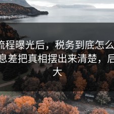 幕后流程曝光后，税务到底怎么回事？把信息差把真相摆出来清楚，后劲太大