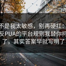 原来不是我太敏感，别再硬扛：91爆料网反PUA的平台规则我替你捋一遍了，其实答案早就写明了