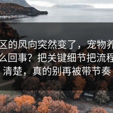 评论区的风向突然变了，宠物养护到底怎么回事？把关键细节把流程讲透清楚，真的别再被带节奏