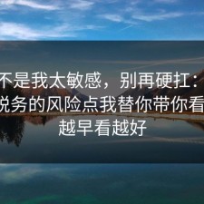原来不是我太敏感，别再硬扛：91爆料网税务的风险点我替你带你看懂了，越早看越好