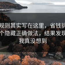 隐藏规则其实写在这里，省钱挑战其实有个隐藏正确做法，结果发现结局我真没想到