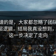 最离谱的是，大家都忽略了团队协作的底层逻辑，结局我真没想到，91网 这一步决定了走向
