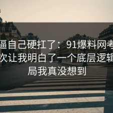 别再逼自己硬扛了：91爆料网考研备考这次让我明白了一个底层逻辑，结局我真没想到