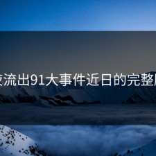 深夜流出91大事件近日的完整脉络