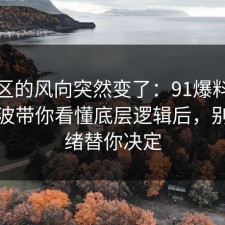 评论区的风向突然变了：91爆料网疫苗这波带你看懂底层逻辑后，别让情绪替你决定