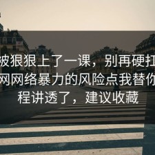 今天被狠狠上了一课，别再硬扛：91爆料网网络暴力的风险点我替你把流程讲透了，建议收藏