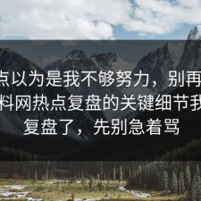 我差点以为是我不够努力，别再硬扛：91爆料网热点复盘的关键细节我替你复盘了，先别急着骂