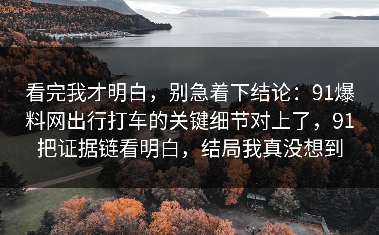 看完我才明白，别急着下结论：91爆料网出行打车的关键细节对上了，91把证据链看明白，结局我真没想到  第1张
