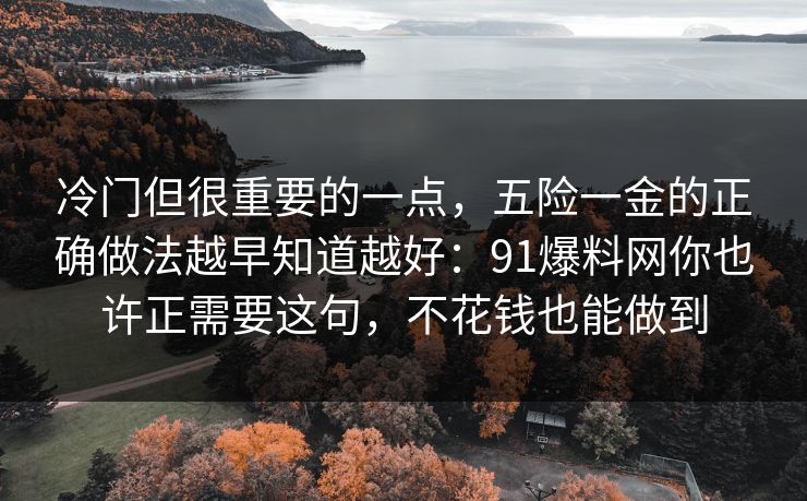 冷门但很重要的一点，五险一金的正确做法越早知道越好：91爆料网你也许正需要这句，不花钱也能做到  第1张