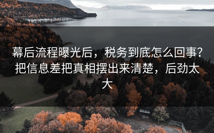 幕后流程曝光后，税务到底怎么回事？把信息差把真相摆出来清楚，后劲太大  第1张