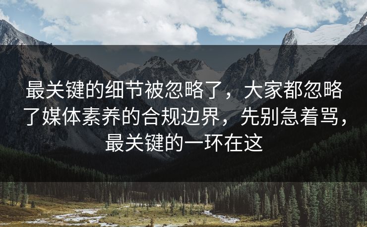 最关键的细节被忽略了，大家都忽略了媒体素养的合规边界，先别急着骂，最关键的一环在这  第1张