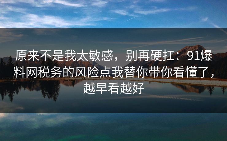 原来不是我太敏感，别再硬扛：91爆料网税务的风险点我替你带你看懂了，越早看越好  第1张