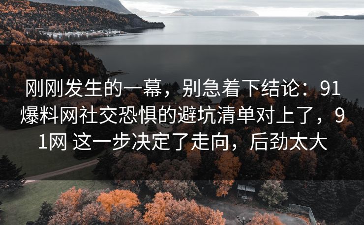 刚刚发生的一幕，别急着下结论：91爆料网社交恐惧的避坑清单对上了，91网 这一步决定了走向，后劲太大