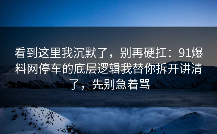看到这里我沉默了，别再硬扛：91爆料网停车的底层逻辑我替你拆开讲清了，先别急着骂