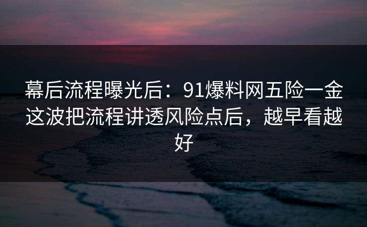 幕后流程曝光后:91爆料网五险一金这波把流程讲透风险点后,越早看越好 第1张 幕后流程曝光后:91爆料网五险一金这波把流程讲透风险点后,越早看越好 第1张